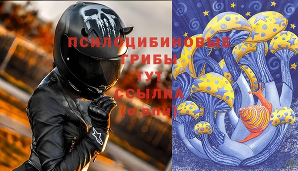 прущие крисы Армянск