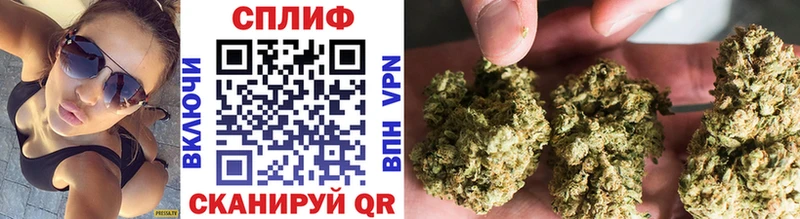 Бошки Шишки сатива Жиздра